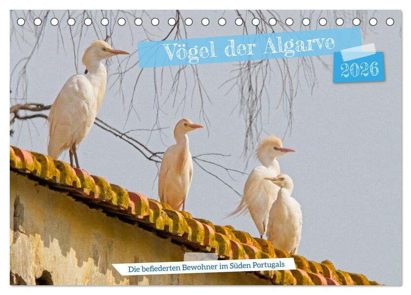 Vögel der Algarve (Tischkalender 2026 DIN A5 quer) CALVENDO Monatskalender