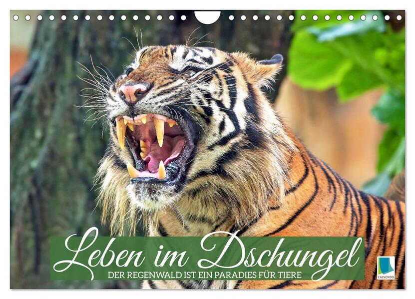 Leben im Dschungel: Der Regenwald ist ein Paradies für Tiere (Wandkalender 2026 DIN A4 quer) CALVENDO Monatskalender
