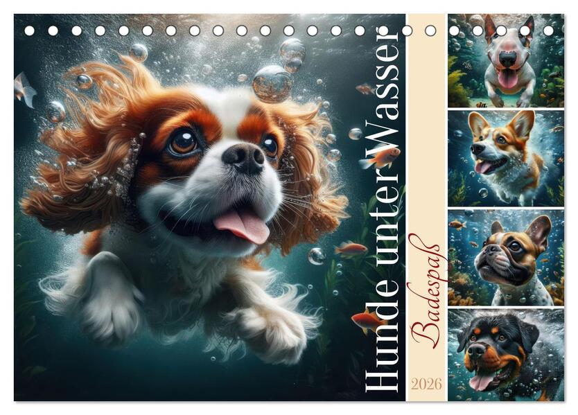 Badespaß - Hunde unter Wasser (Tischkalender 2026 DIN A5 quer) CALVENDO Monatskalender