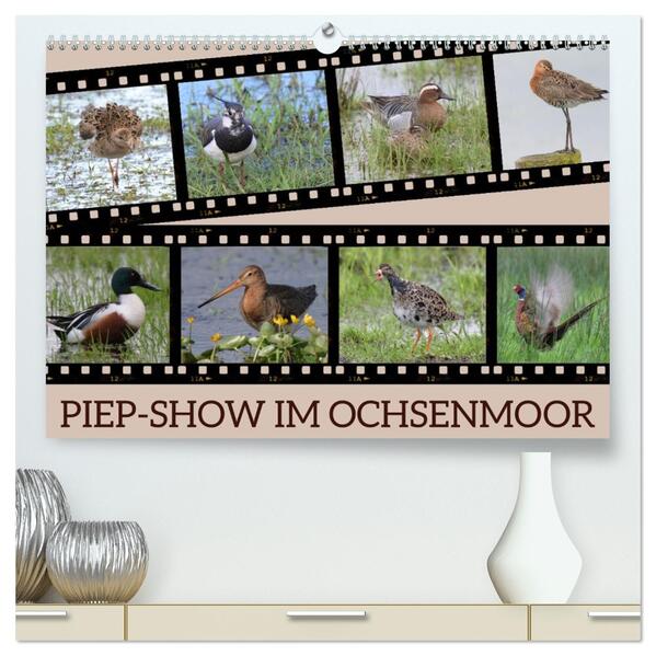 PIEP-SHOW im Ochsenmoor (hochwertiger Premium Wandkalender 2026 DIN A2 quer) Kunstdruck in Hochglanz