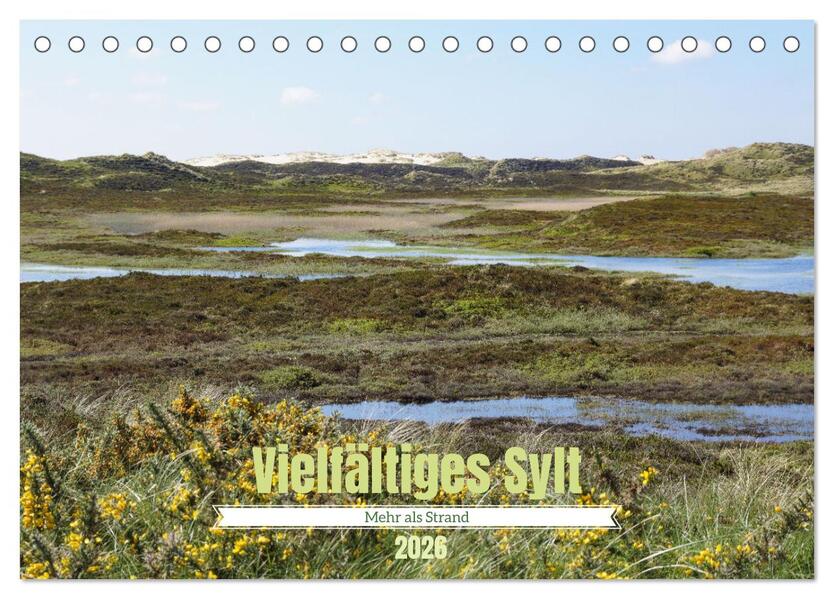 Vielfältiges Sylt - Mehr als Strand (Tischkalender 2026 DIN A5 quer) CALVENDO Monatskalender