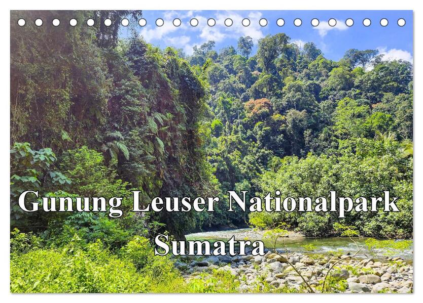 Gunung Leuser Nationalpark Sumatra (Tischkalender 2026 DIN A5 quer) CALVENDO Monatskalender