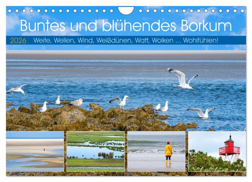 Buntes und blühendes Borkum (Wandkalender 2026 DIN A4 quer) CALVENDO Monatskalender