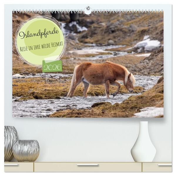 Islandpferde - Reise in ihre wilde Heimat (hochwertiger Premium Wandkalender 2026 DIN A2 quer) Kunstdruck in Hochglanz