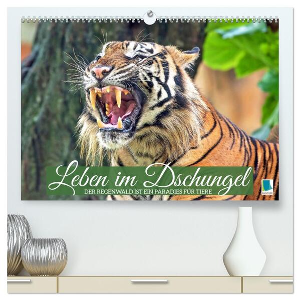 Leben im Dschungel: Der Regenwald ist ein Paradies für Tiere (hochwertiger Premium Wandkalender 2026 DIN A2 quer) Kunstdruck in Hochglanz