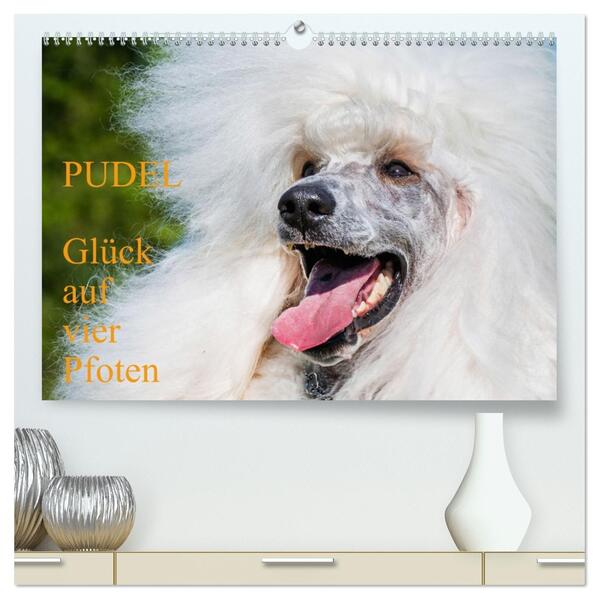 Pudel - Glück auf vier Pfoten (hochwertiger Premium Wandkalender 2026 DIN A2 quer) Kunstdruck in Hochglanz
