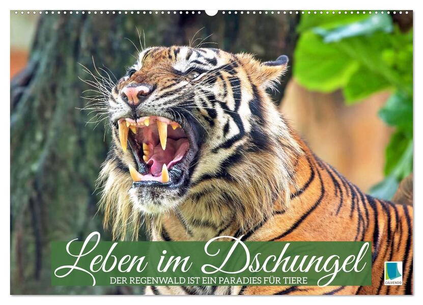 Leben im Dschungel: Der Regenwald ist ein Paradies für Tiere (Wandkalender 2026 DIN A2 quer) CALVENDO Monatskalender
