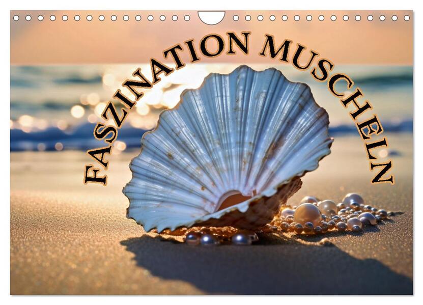 Faszination Muscheln (Wandkalender 2026 DIN A4 quer) CALVENDO Monatskalender