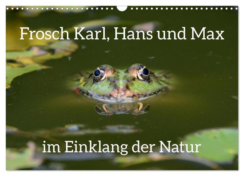 Frosch Karl Hans und Max im Einklang der Natur (Wandkalender 2026 DIN A3 quer) CALVENDO Monatskalender