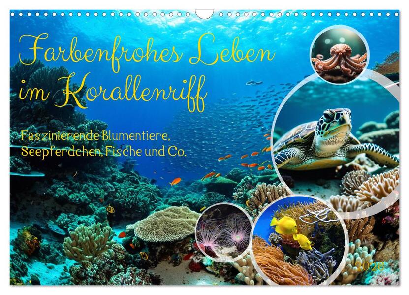 Farbenfrohes Leben im Korallenriff (Wandkalender 2026 DIN A3 quer) CALVENDO Monatskalender