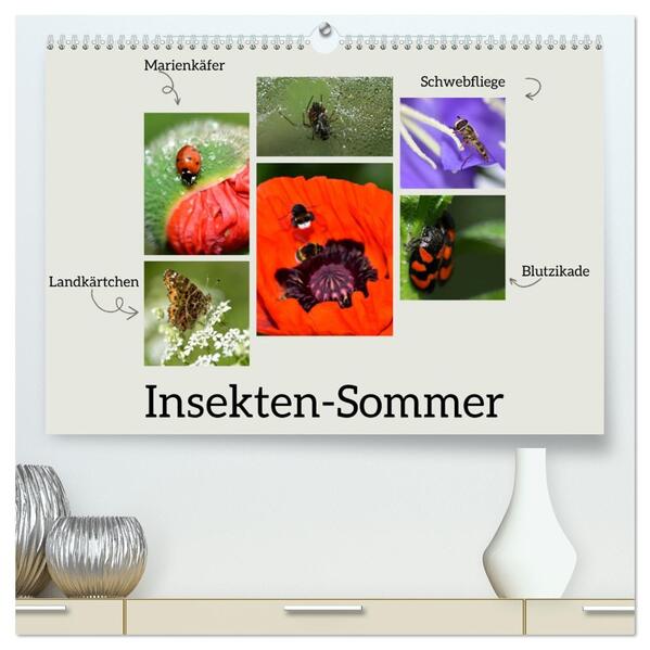 Insekten-Sommer (hochwertiger Premium Wandkalender 2026 DIN A2 quer) Kunstdruck in Hochglanz