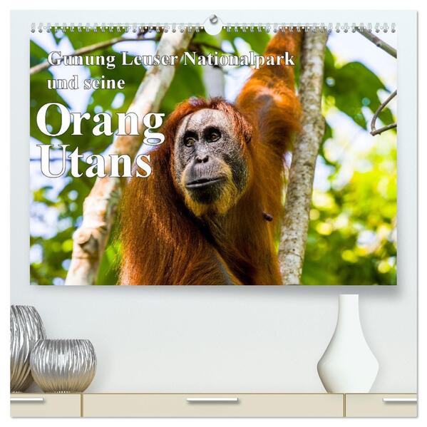 Gunung Leuser Nationalpark und seine Orang Utans (hochwertiger Premium Wandkalender 2026 DIN A2 quer) Kunstdruck in Hochglanz