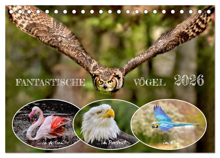Fantastische Vögel (Tischkalender 2026 DIN A5 quer) CALVENDO Monatskalender