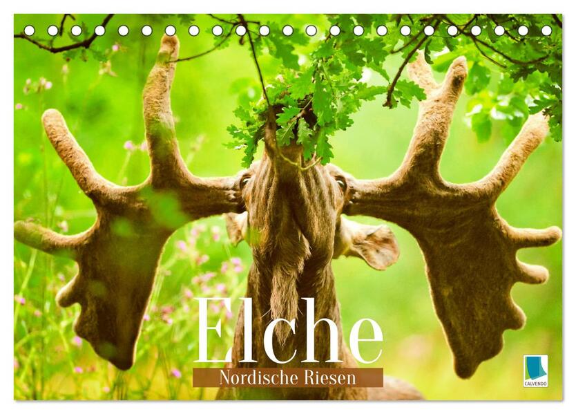 Elche: Nordische Riesen (Tischkalender 2026 DIN A5 quer) CALVENDO Monatskalender