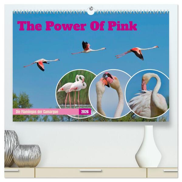 The Power Of Pink (hochwertiger Premium Wandkalender 2026 DIN A2 quer) Kunstdruck in Hochglanz
