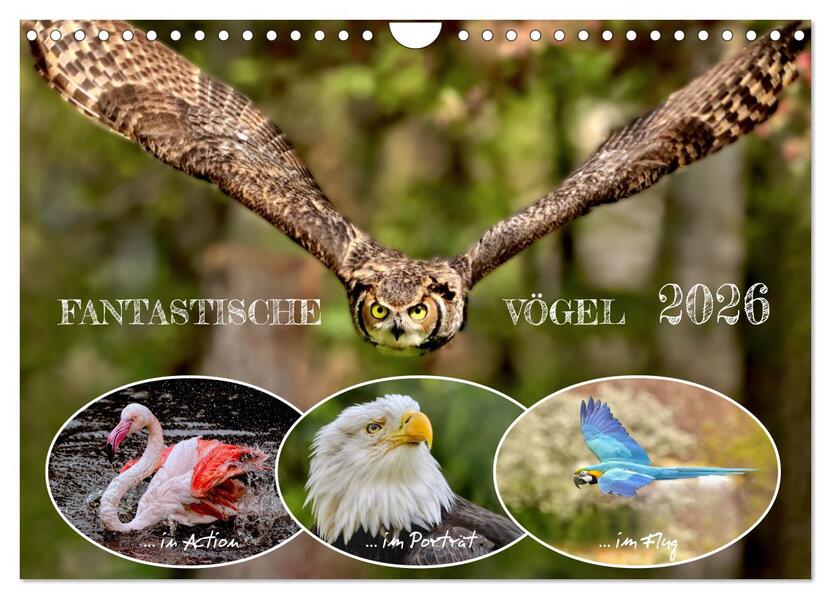 Fantastische Vögel (Wandkalender 2026 DIN A4 quer) CALVENDO Monatskalender