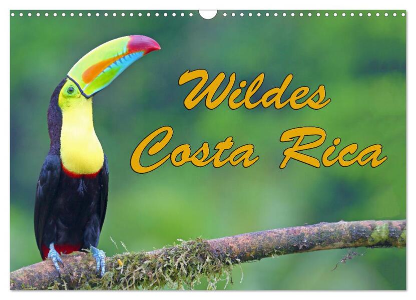 Wildes Costa Rica (Wandkalender 2026 DIN A3 quer) CALVENDO Monatskalender