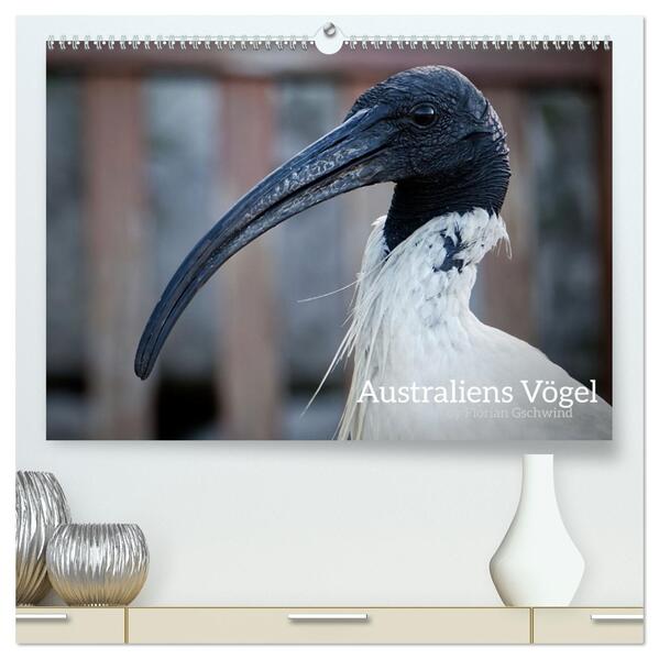 Australiens Vögel (hochwertiger Premium Wandkalender 2026 DIN A2 quer) Kunstdruck in Hochglanz