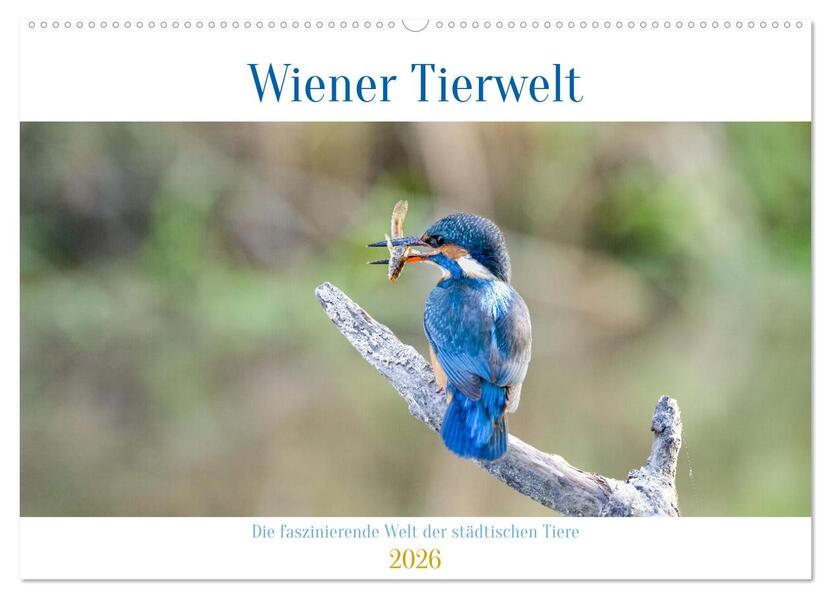 Wiener Tierwelt (Wandkalender 2026 DIN A2 quer) CALVENDO Monatskalender