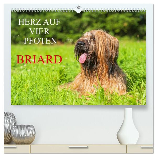 Herz auf vier Pfoten - Briard (hochwertiger Premium Wandkalender 2026 DIN A2 quer) Kunstdruck in Hochglanz