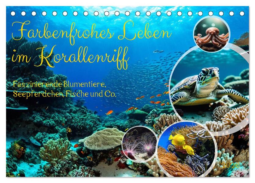 Farbenfrohes Leben im Korallenriff (Tischkalender 2026 DIN A5 quer) CALVENDO Monatskalender
