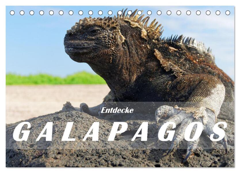 Entdecke Galapagos (Tischkalender 2026 DIN A5 quer) CALVENDO Monatskalender