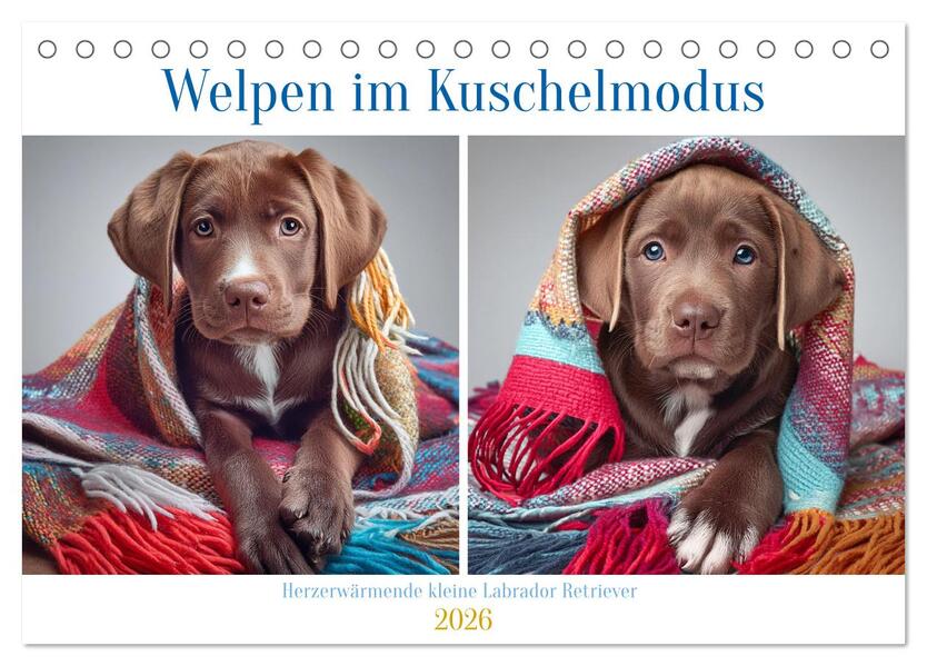 Welpen im Kuschelmodus - Herzerwärmende kleine Labrador Retriever (Tischkalender 2026 DIN A5 quer) CALVENDO Monatskalender
