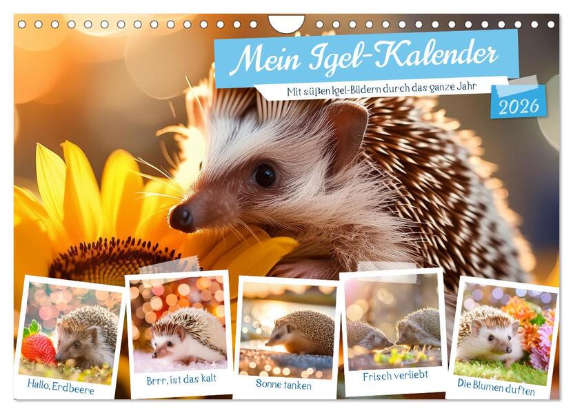 Mein Igel-Kalender (Wandkalender 2026 DIN A4 quer) CALVENDO Monatskalender