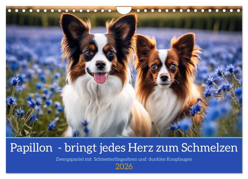Papillon - bringt jedes Herz zum Schmelzen (Wandkalender 2026 DIN A4 quer) CALVENDO Monatskalender