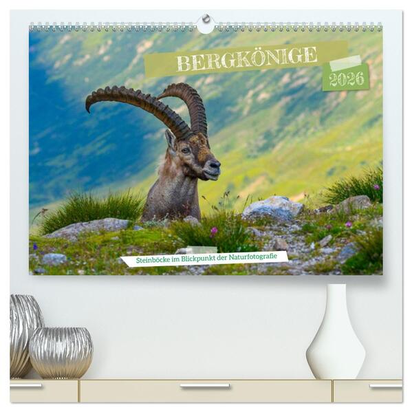 Bergkönige - Steinböcke im Blickpunkt der Naturfotografie (hochwertiger Premium Wandkalender 2026 DIN A2 quer) Kunstdruck in Hochglanz