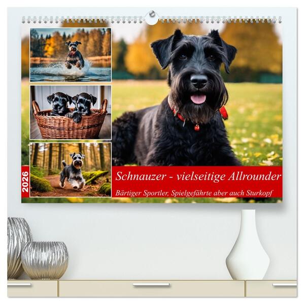 Schnauzer - vielseitige Allrounder (hochwertiger Premium Wandkalender 2026 DIN A2 quer) Kunstdruck in Hochglanz