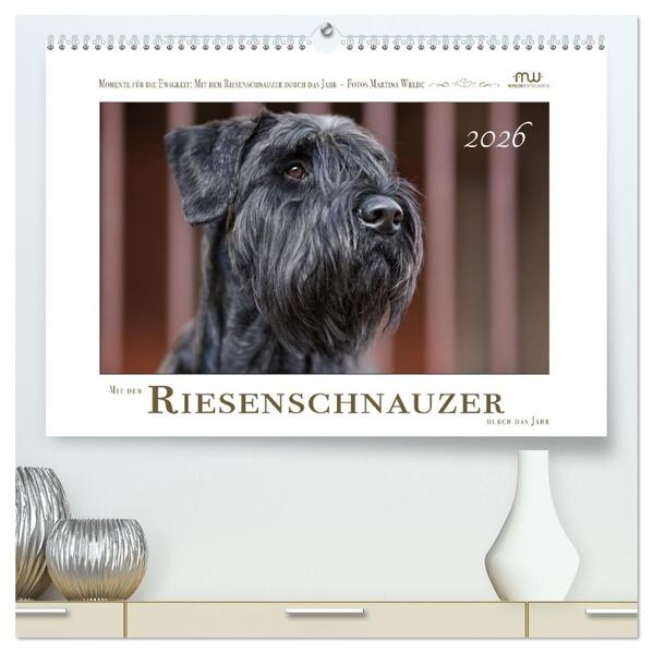 Mit dem Riesenschnauzer durch das Jahr (hochwertiger Premium Wandkalender 2026 DIN A2 quer) Kunstdruck in Hochglanz