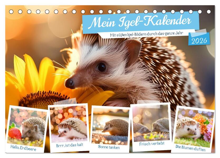 Mein Igel-Kalender (Tischkalender 2026 DIN A5 quer) CALVENDO Monatskalender