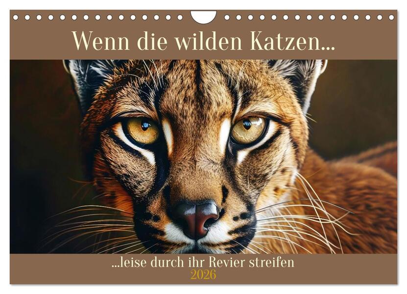 Wenn die wilden Katzen leise durch ihr Revier streifen (Wandkalender 2026 DIN A4 quer) CALVENDO Monatskalender