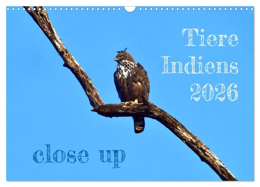 Tiere Indiens close up (Wandkalender 2026 DIN A3 quer) CALVENDO Monatskalender