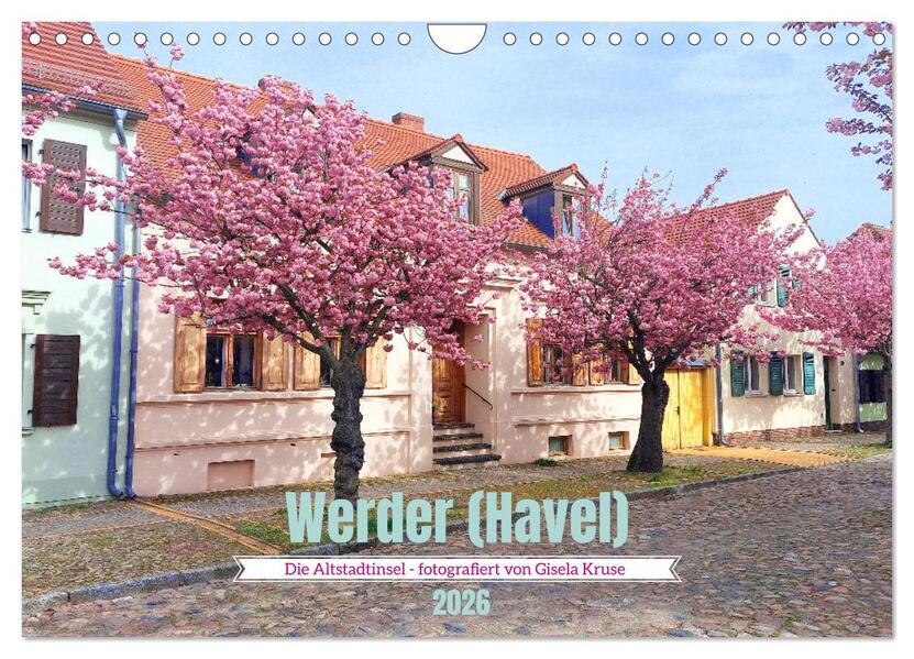 Werder (Havel) - Die Altstadtinsel (Wandkalender 2026 DIN A4 quer) CALVENDO Monatskalender