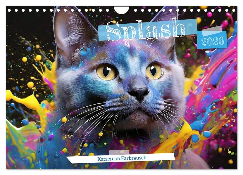 Splash - Katzen im Farbrausch (Wandkalender 2026 DIN A4 quer) CALVENDO Monatskalender