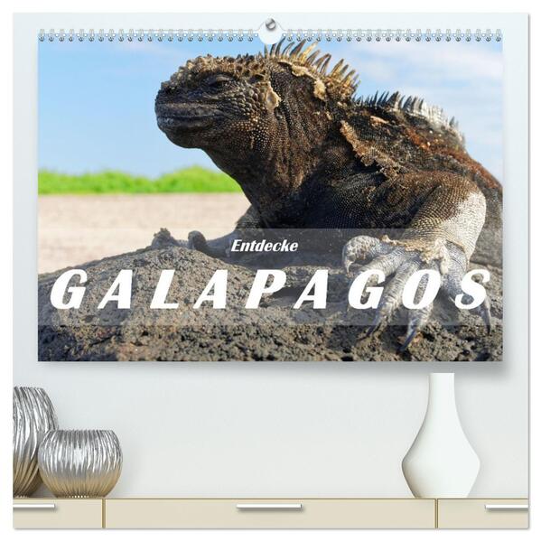 Entdecke Galapagos (hochwertiger Premium Wandkalender 2026 DIN A2 quer) Kunstdruck in Hochglanz
