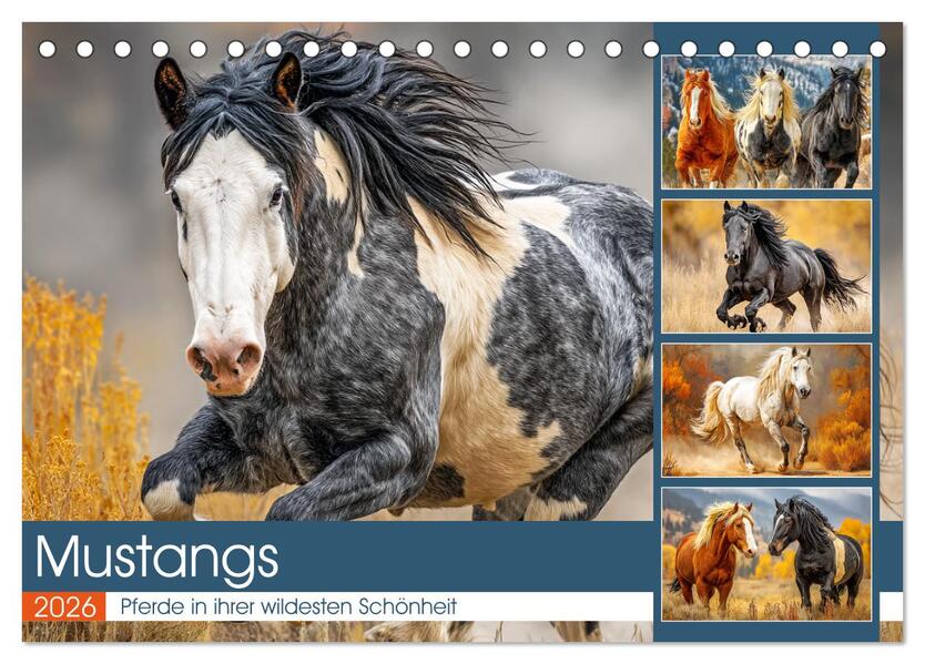 Mustangs. Pferde in ihrer wildesten Schönheit (Tischkalender 2026 DIN A5 quer) CALVENDO Monatskalender