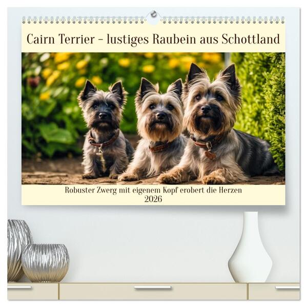 Cairn Terrier - lustiges Raubein aus Schottland (hochwertiger Premium Wandkalender 2026 DIN A2 quer) Kunstdruck in Hochglanz