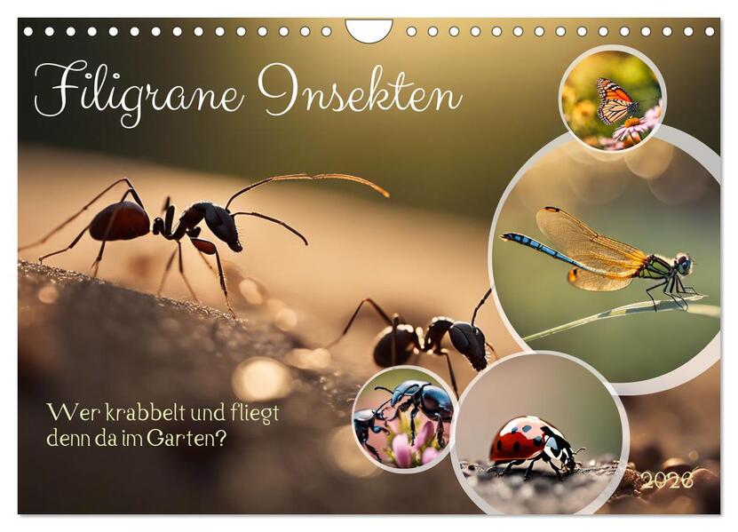 Filigrane Insekten (Wandkalender 2026 DIN A4 quer) CALVENDO Monatskalender