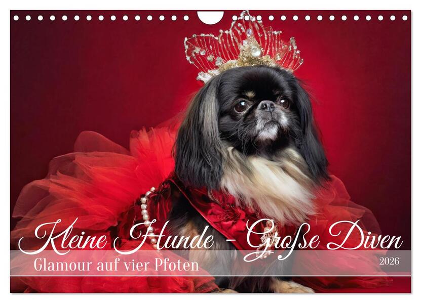 Kleine Hunde - Große Diven (Wandkalender 2026 DIN A4 quer) CALVENDO Monatskalender