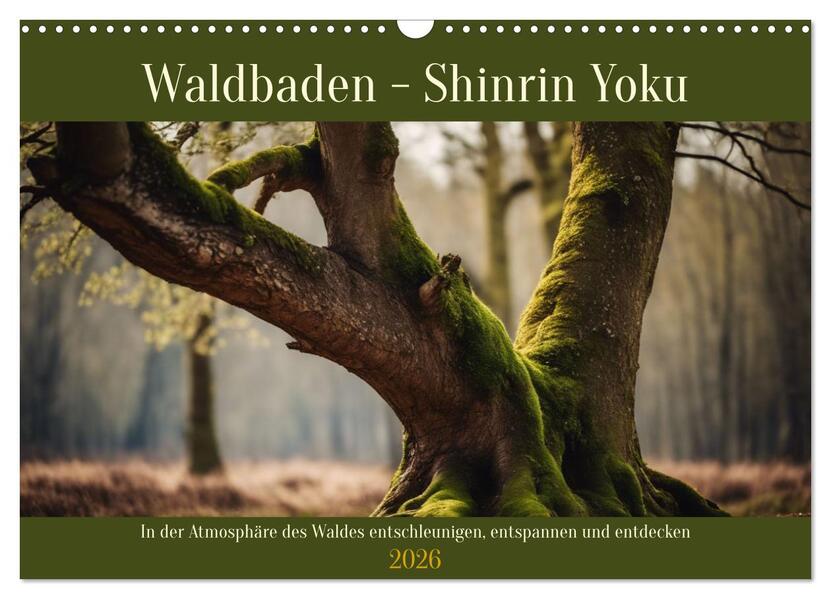 Waldbaden - Shinrin Yoku (Wandkalender 2026 DIN A3 quer) CALVENDO Monatskalender
