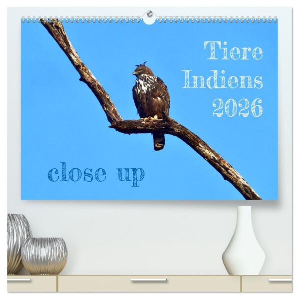 Tiere Indiens close up (hochwertiger Premium Wandkalender 2026 DIN A2 quer) Kunstdruck in Hochglanz