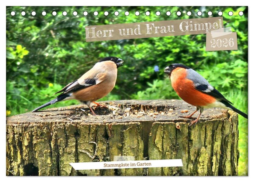 Herr und Frau Gimpel - Stammgäste im Garten (Tischkalender 2026 DIN A5 quer) CALVENDO Monatskalender