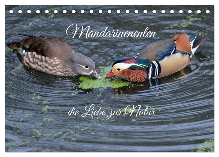 Mandarinenenten die Liebe zur Natur (Tischkalender 2026 DIN A5 quer) CALVENDO Monatskalender