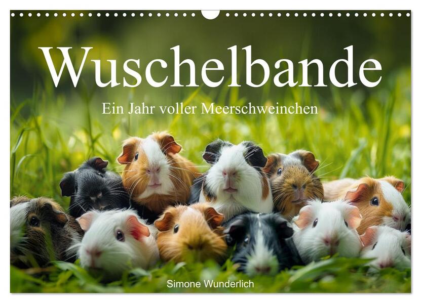 Wuschelbande - Ein Jahr voller Meerschweinchen (Wandkalender 2026 DIN A3 quer) CALVENDO Monatskalender