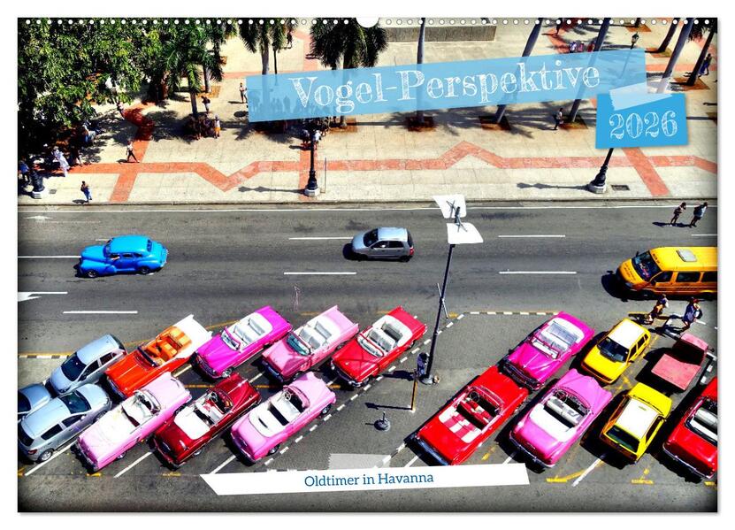 Vogel-Perspektive - Oldtimer in Havanna (Wandkalender 2026 DIN A2 quer) CALVENDO Monatskalender