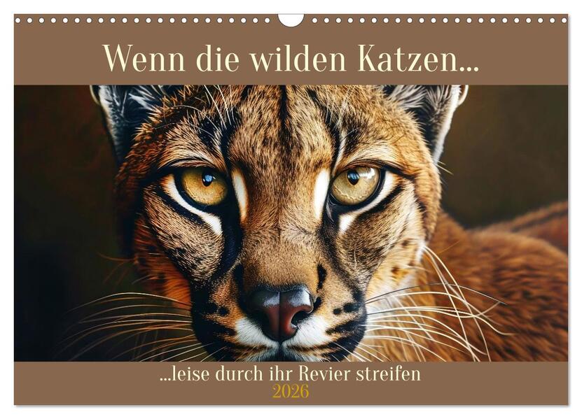 Wenn die wilden Katzen leise durch ihr Revier streifen (Wandkalender 2026 DIN A3 quer) CALVENDO Monatskalender