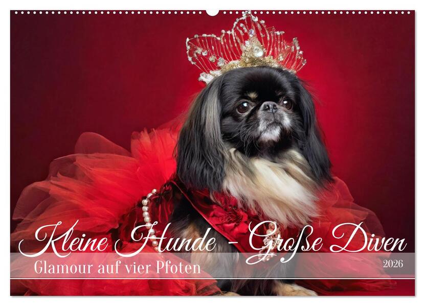 Kleine Hunde - Große Diven (Wandkalender 2026 DIN A2 quer) CALVENDO Monatskalender